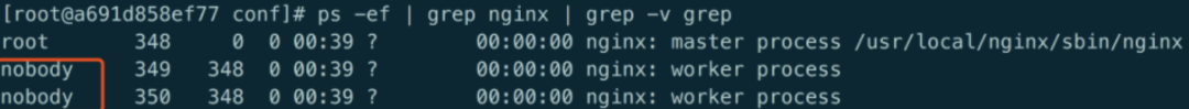 nginx基础知识（非常适合初学者的 Nginx 核心配置详解）